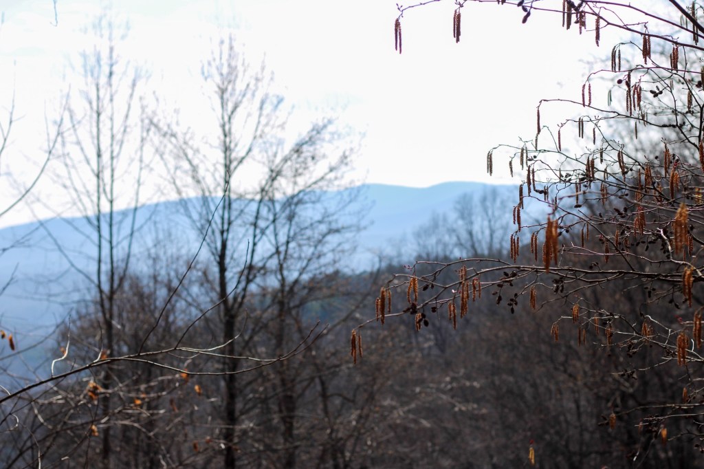 Blue Ridge Mountains